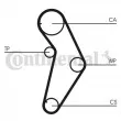 Courroie crantée CONTITECH CT927 - Visuel 2