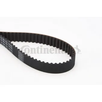 Courroie crantée CONTITECH CT937