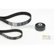 Kit de distribution CONTITECH CT939K6PRO - Visuel 1