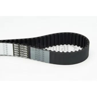 Courroie crantée CONTITECH CT951