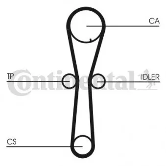 Courroie crantée CONTITECH CT954