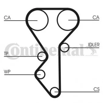 Pompe à eau + kit de courroie de distribution CONTITECH CT955WP1