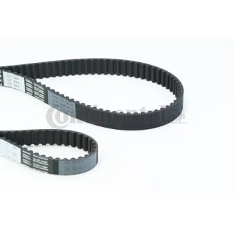 Courroie crantée CONTITECH CT957(SET)