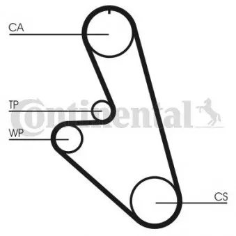 Courroie crantée CONTITECH CT959