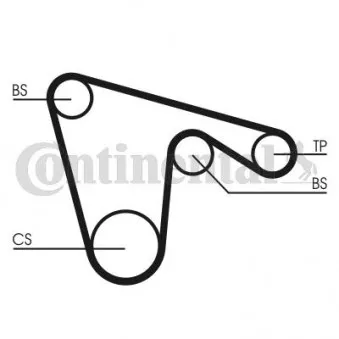 Courroie crantée CONTITECH CT971