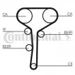 Courroie crantée CONTITECH CT977 - Visuel 1