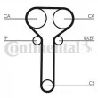 Courroie crantée CONTITECH CT978 - Visuel 2