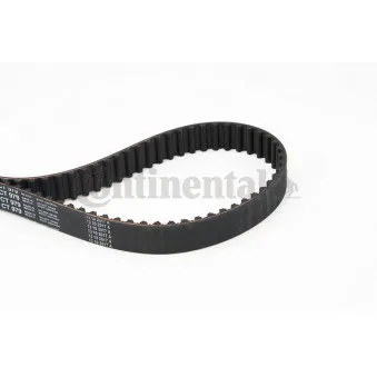 Courroie crantée CONTITECH CT979