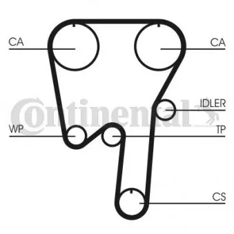 Courroie crantée CONTITECH CT981