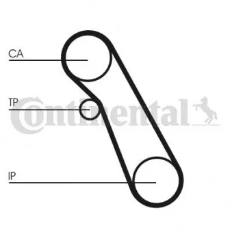 Pompe à eau + kit de courroie de distribution CONTITECH CT983WP1