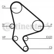 Courroie crantée CONTITECH CT987 - Visuel 2