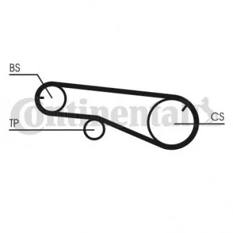 Courroie crantée CONTITECH CT991