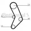 Kit de distribution CONTITECH CT999K1 - Visuel 2