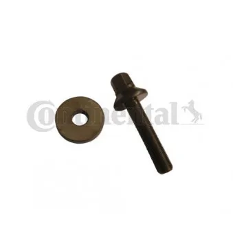 Kit de vis, poulie-vilebrequin CONTITECH MS21
