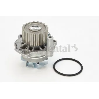 Pompe à eau CONTITECH WP6005