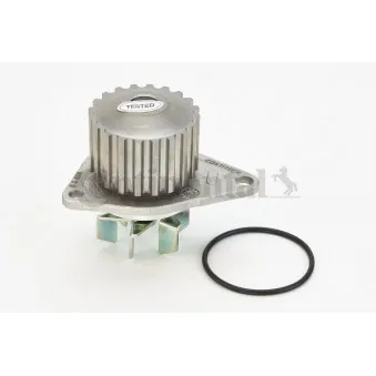Pompe à eau CONTITECH WP6007