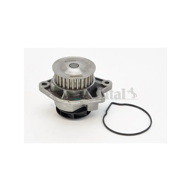 Pompe à eau CONTITECH WP6022