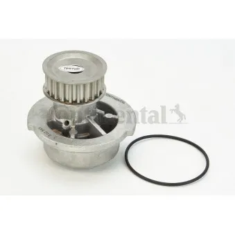 Pompe à eau CONTITECH WP6025