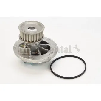 Pompe à eau CONTITECH WP6033