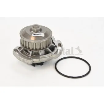 Pompe à eau CONTITECH WP6050