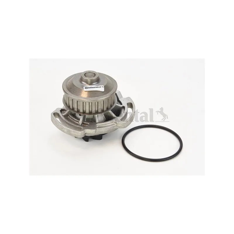 Pompe à eau CONTITECH WP6050
