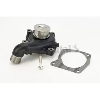 Pompe à eau CONTITECH WP6055
