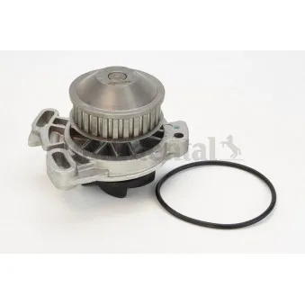 Pompe à eau CONTITECH WP6062