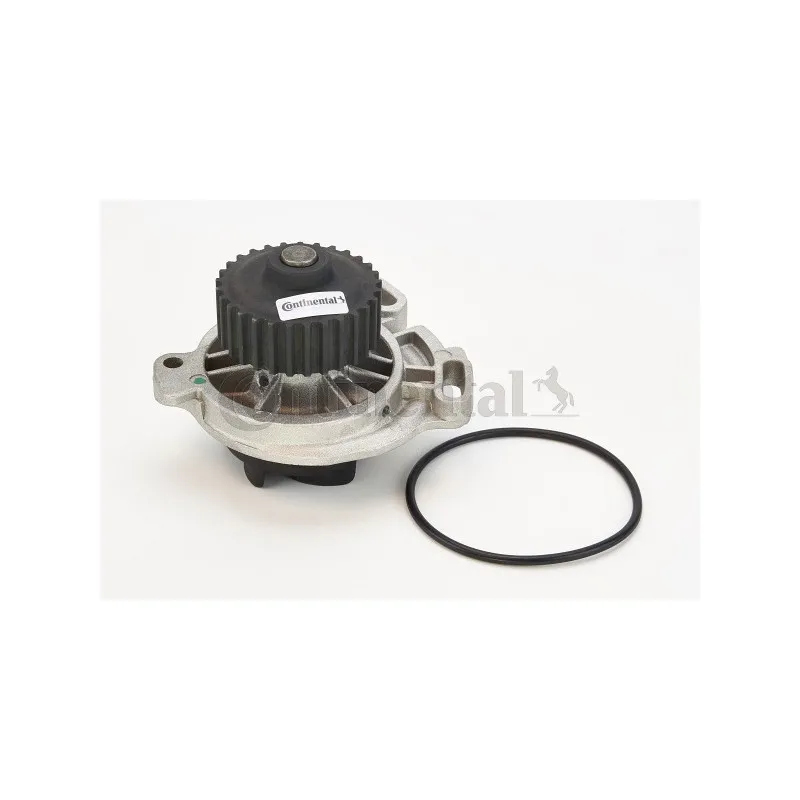 Pompe à eau CONTITECH WP6066