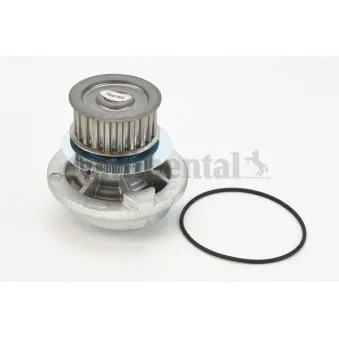 Pompe à eau CONTITECH WP6067