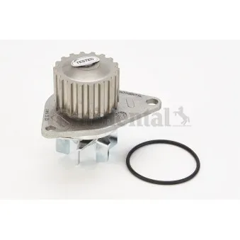Pompe à eau CONTITECH WP6088