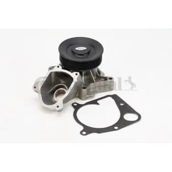 Pompe à eau CONTITECH WPS3017