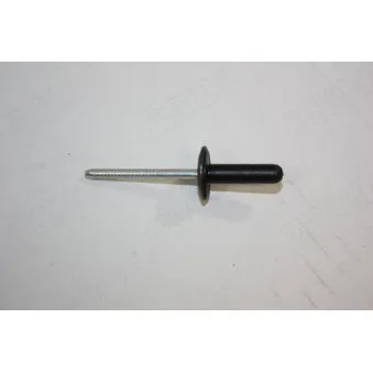 Rivet à expansion AUTOMEGA 100003310