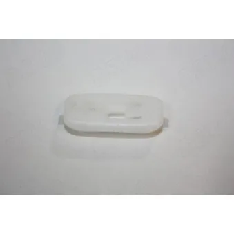 Clip, enjoliveur AUTOMEGA 100034010