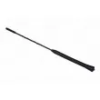 Antenne AUTOMEGA 100093610 - Visuel 2