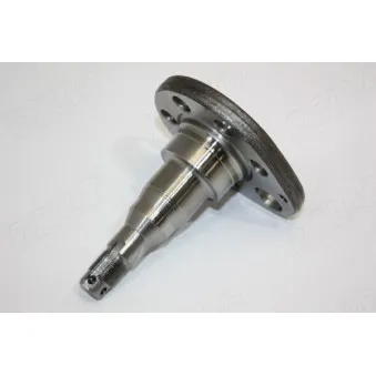 Moyeu de roue arrière AUTOMEGA 110043510