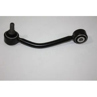 Entretoise/tige, stabilisateur arrière gauche AUTOMEGA 110089810