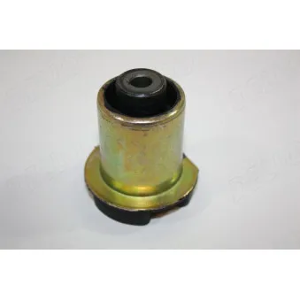 Suspension, corps de l'essieu AUTOMEGA 110113410