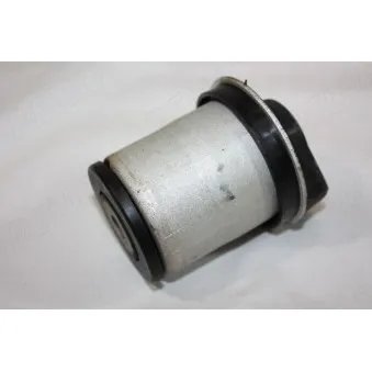 Suspension, corps de l'essieu AUTOMEGA 110162910