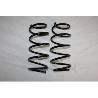 Ressort de suspension AUTOMEGA 110163810