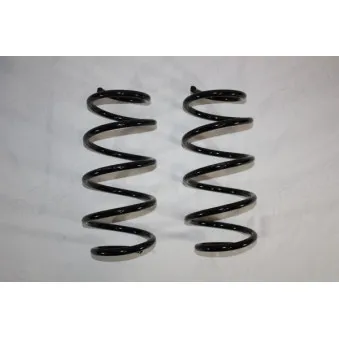 Ressort de suspension AUTOMEGA 110163910