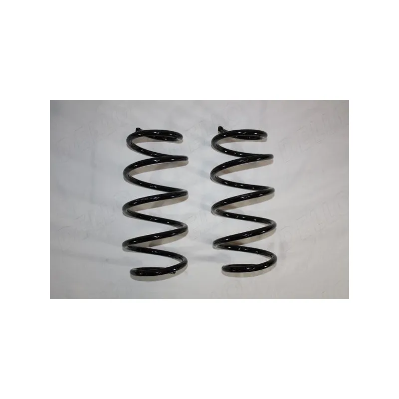 Ressort de suspension AUTOMEGA 110163910