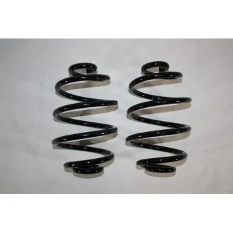 Ressort de suspension AUTOMEGA 110179110