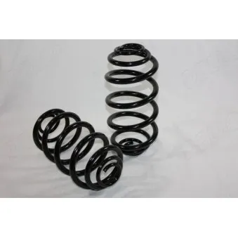 Ressort de suspension AUTOMEGA 110179210