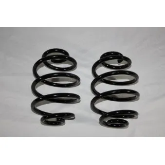 Ressort de suspension AUTOMEGA 110179510