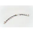 Flexible de frein AUTOMEGA 120025010 - Visuel 1