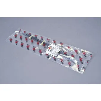 Flexible de frein AUTOMEGA