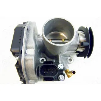 Corps papillon AUTOMEGA 130053810
