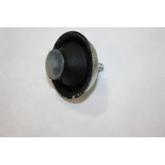 Support moteur avant droit AUTOMEGA 130094010