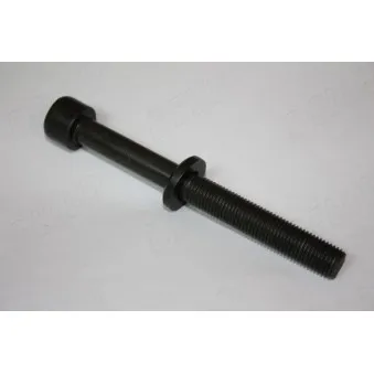 Jeu de boulons de culasse de cylindre AUTOMEGA 130095510
