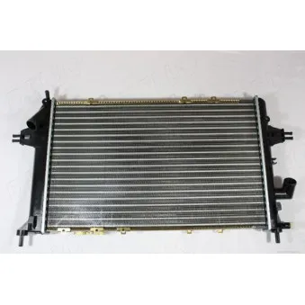 Radiateur, refroidissement du moteur AUTOMEGA 130119210